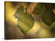 "Quiet Leaves" Wrapped Canvas Art Print, 36"x24"x1.5"
