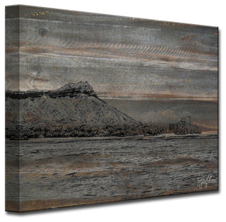 Hawaiian Air' Canvas Art Print, 20"x30"