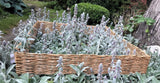 Debarked Willow Raised Bed