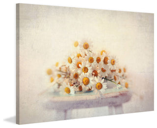 White Daisies Print on Canvas, 114x76 cm