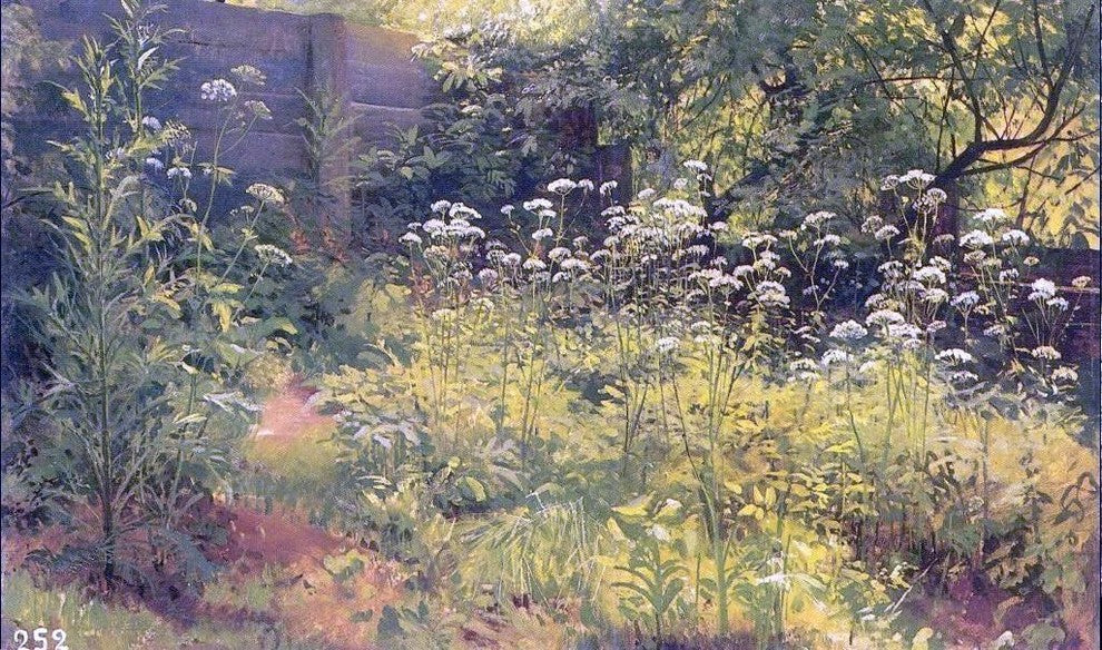 Ivan Ivanovich Shishkin Aegopodium Pargolovo Wall Decal