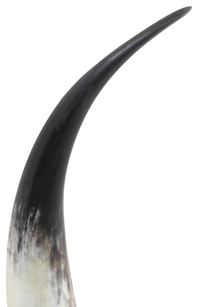 Regina Andrew Daylon Horn Large