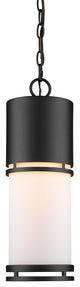 Luminata Collection Outdoor LED Chain Hung Light in Black Finish