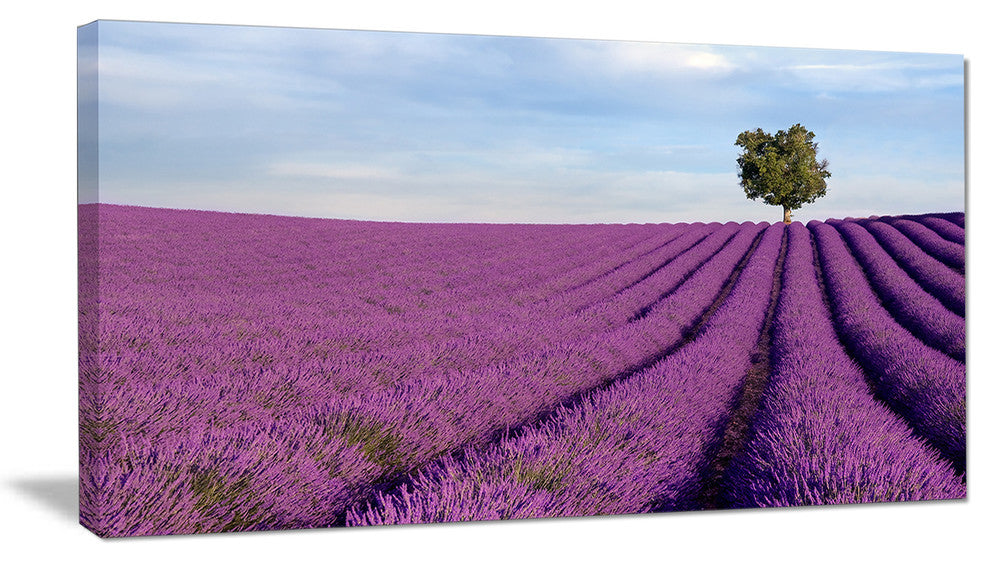 "Lavender Field With Solitary Tree" Landscape Canvas Photo Print, 40"x20"
