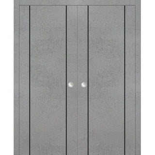 French Double Pocket Doors 56x80 | Planum 0016 Concrete with  | Kit Trims Rail