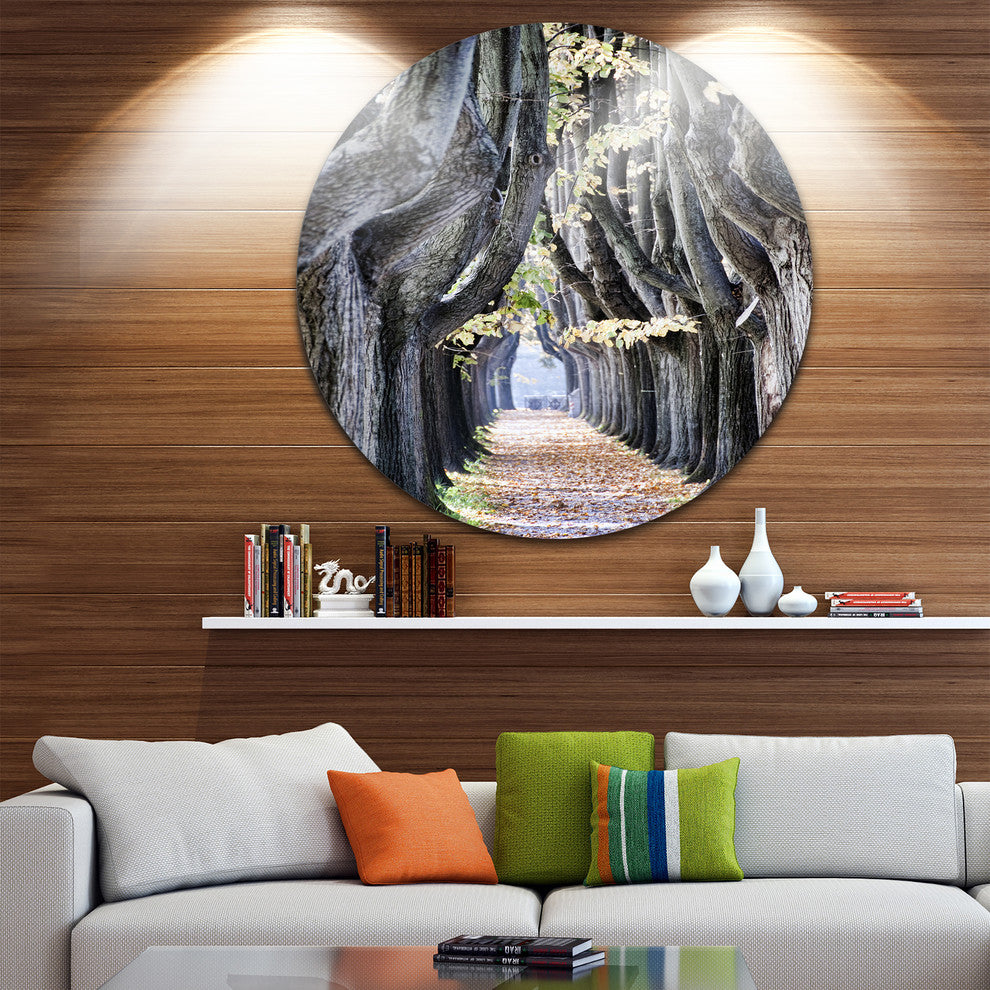 Tree Outside Lucca Italy, Landscape Photo Large Disc Metal Artwork, 23"