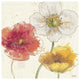 "Painted Poppies IV" Digital Paper Print by Katie Pertiet, 38"x38"