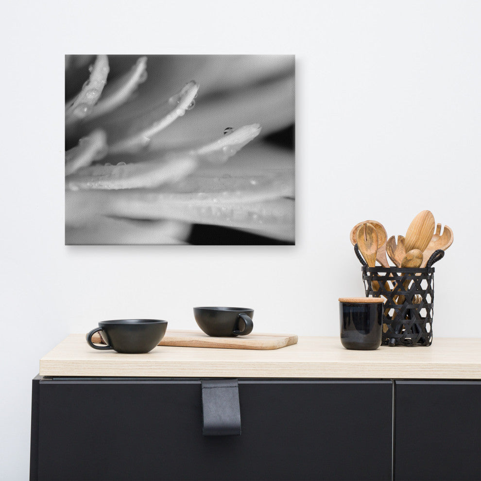 Droplets on Petals Floral Nature Photography Canvas Wall Art Print, 16" X 20"