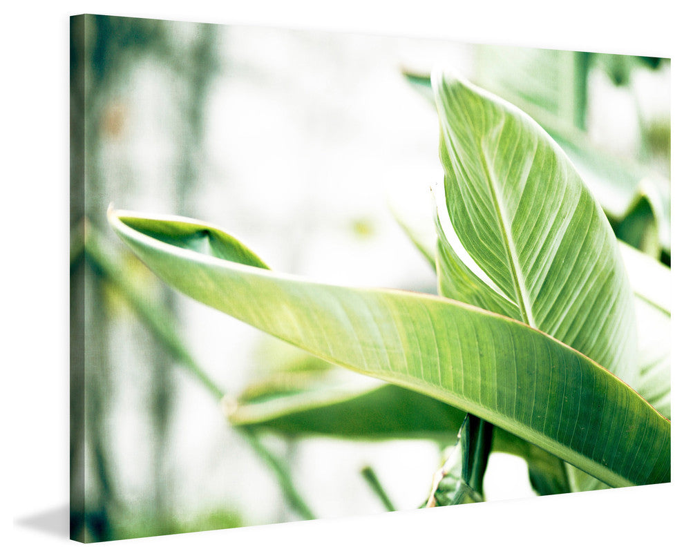 Marmont Hill, "Banana Leaves II" by Morgan Hartley on Wrapped Canvas, 30x20