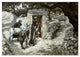 "Foal of Bethpage" Digital Paper Print by James Tissot, 32"x23"