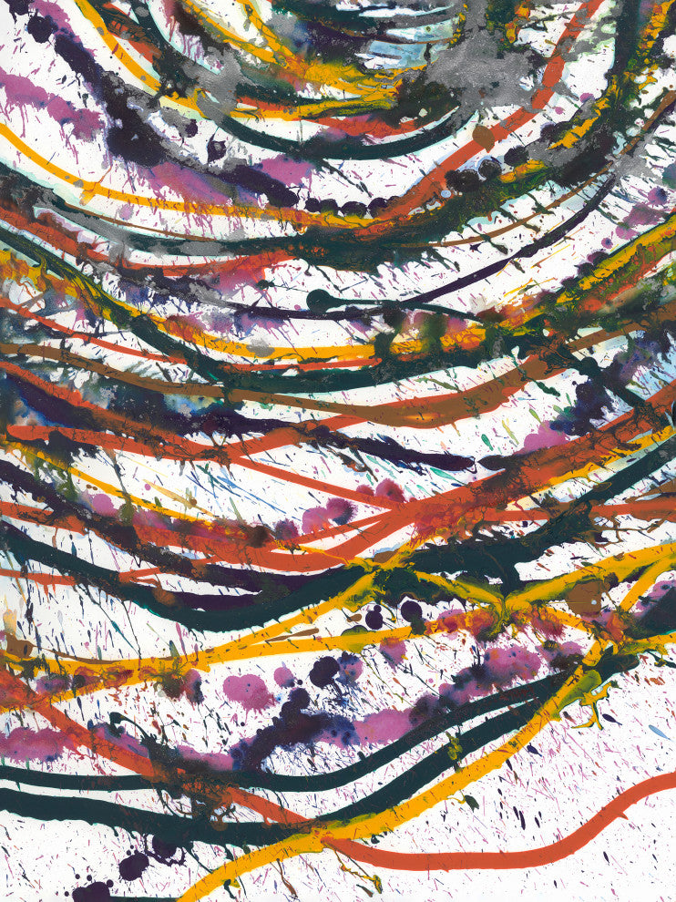 36x48 Couleurs Primaries VI, Unframed Artwork