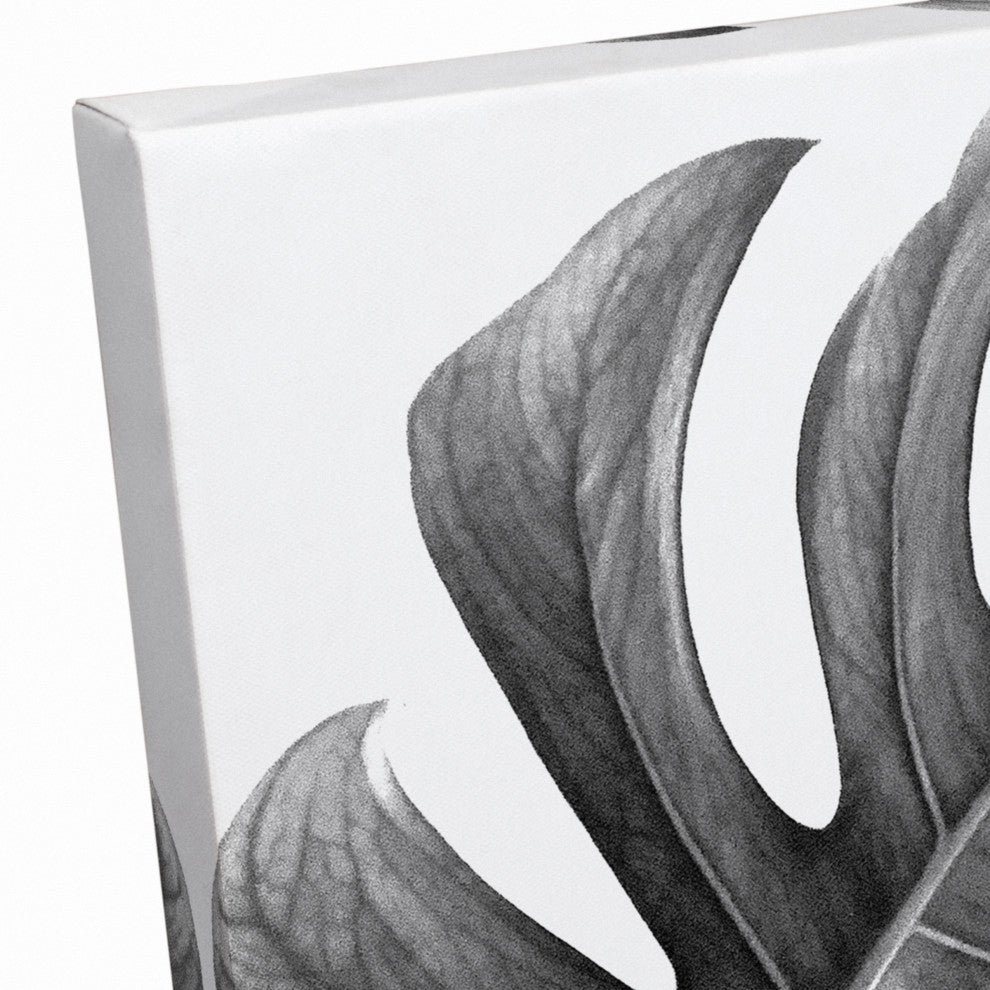 Black And White Monstera 12x18 Canvas Wall Art
