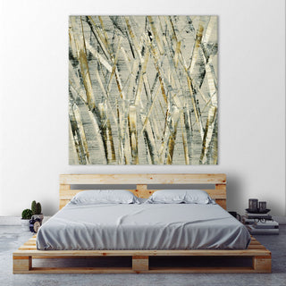 "Birches V" Fine Art Giant Canvas Print, 54"x54"