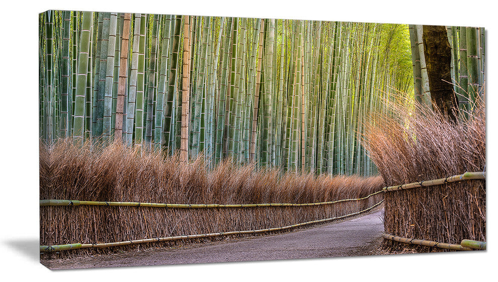"Pathway Inside Bamboo Forest" Forest Canvas Wall Art Print, 1 Panel, 60"x28"