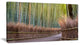 "Pathway Inside Bamboo Forest" Forest Canvas Wall Art Print, 1 Panel, 60"x28"