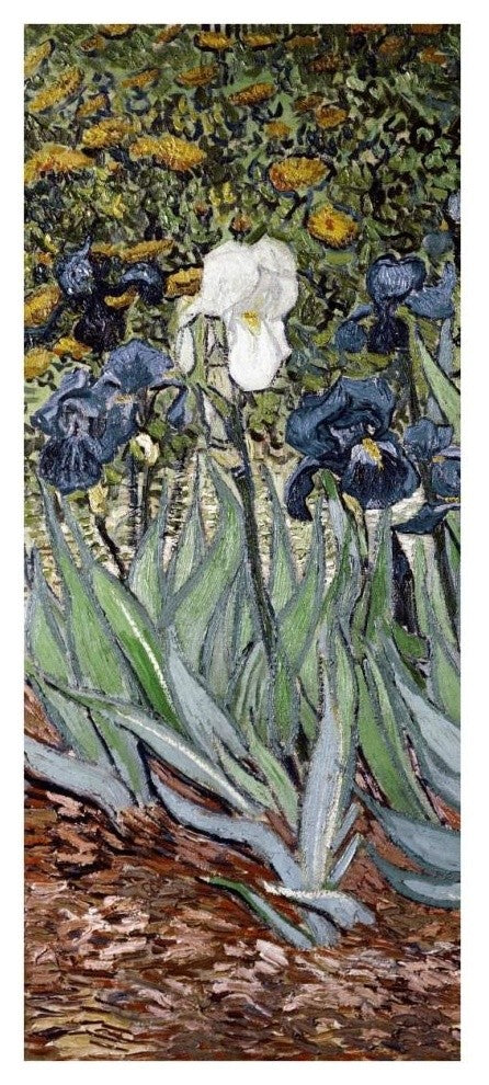 "Irises (left)" Digital Paper Print by Vincent van Gogh, 17"x38"