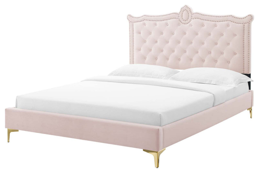 Platform Bed Frame, Nailhead, Queen Size, Pink, Velvet, Modern, Guest Suite
