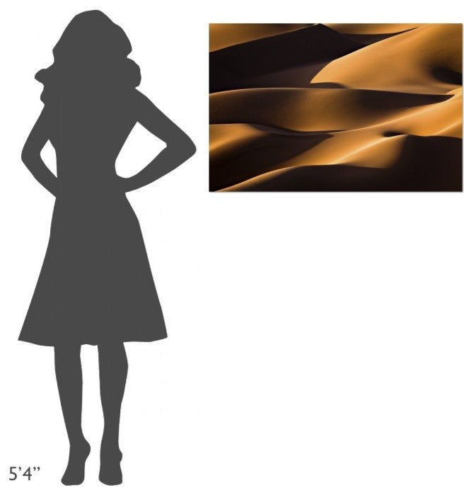 "Light And Shadow" Stretched Canvas Giclee by Mohammadreza Momeni, 36x24"
