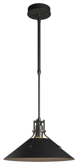 Henry Outdoor Pendant Medium, Coastal Black Finish