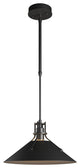 Henry Outdoor Pendant Medium, Coastal Black Finish