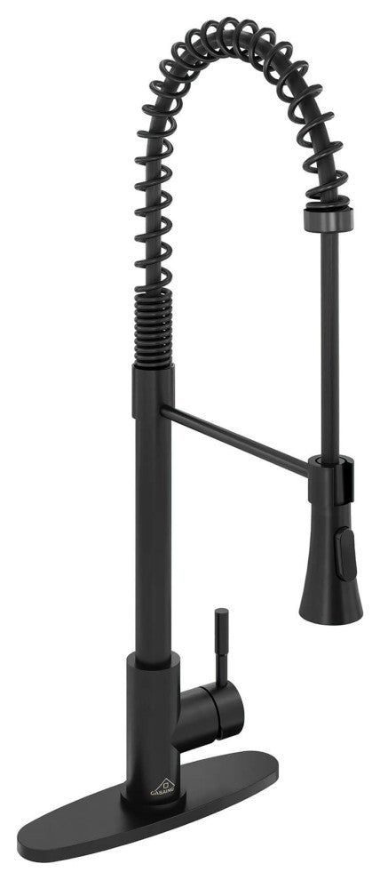 Kitchen Faucet Spring Pull Down Sprayer Dual-Function Spray Head Matte Black