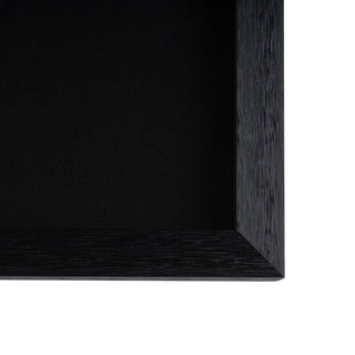 Soaring Silver 24" x 32" Shadow Box