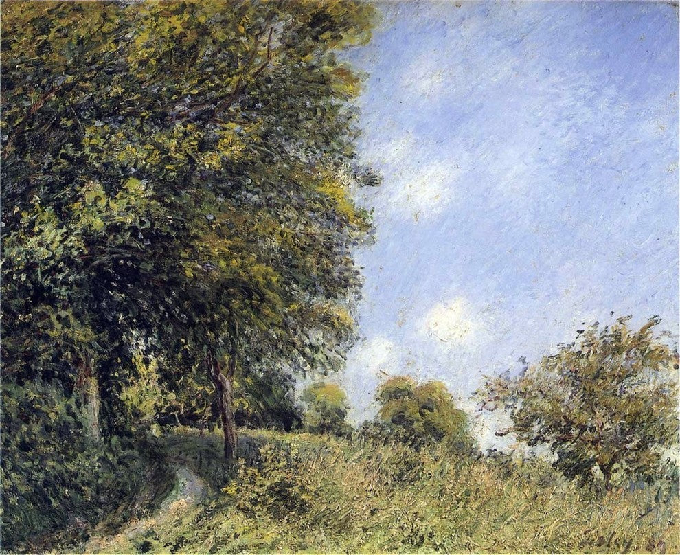 Alfred Sisley July Afternoon near the Forest, Gallery Wrapped Canvas, 20"x25"