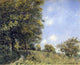 Alfred Sisley July Afternoon near the Forest, Gallery Wrapped Canvas, 20"x25"