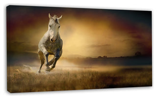 Horse Galloping Through Valley, Animal Canvas Wall Art, 32"x16"