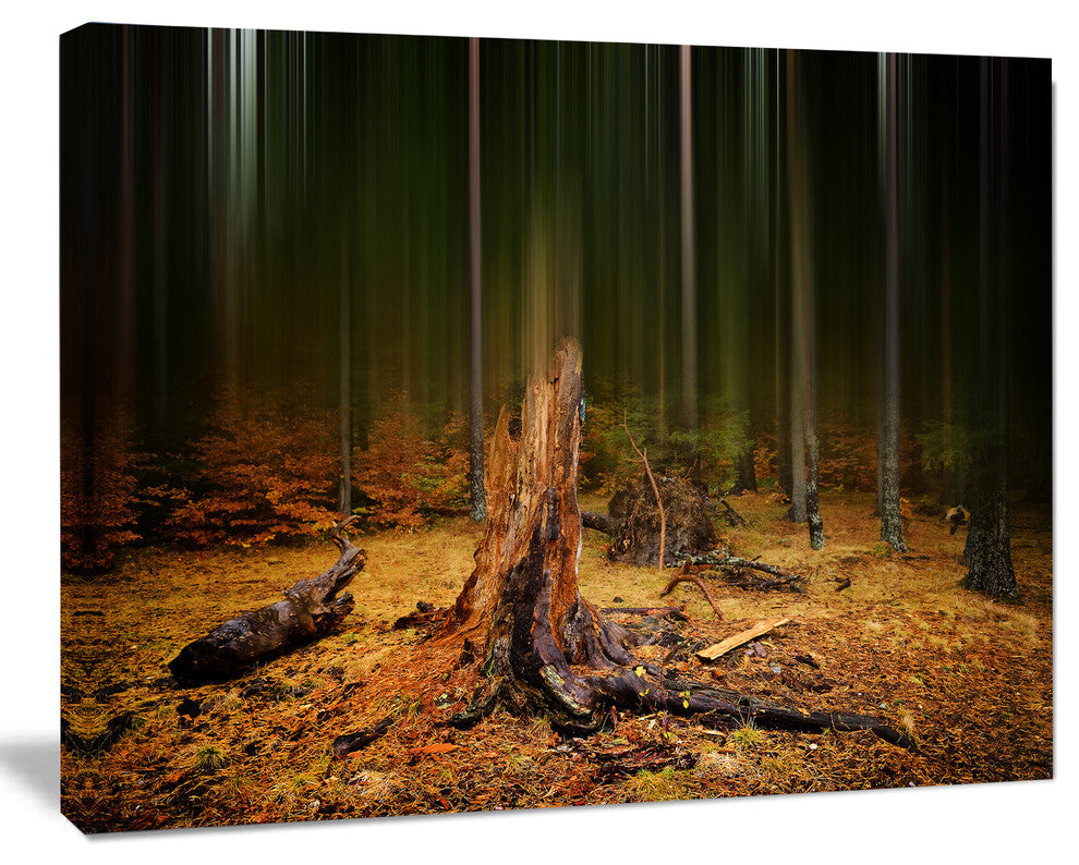 Dark Fall Forest on Foggy Morning, Landscape Canvas Art Print, 40"x30"