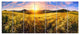 Beautiful Meadow Panorama, Landscape Canvas Art Print, 83"x32", 7 Panels