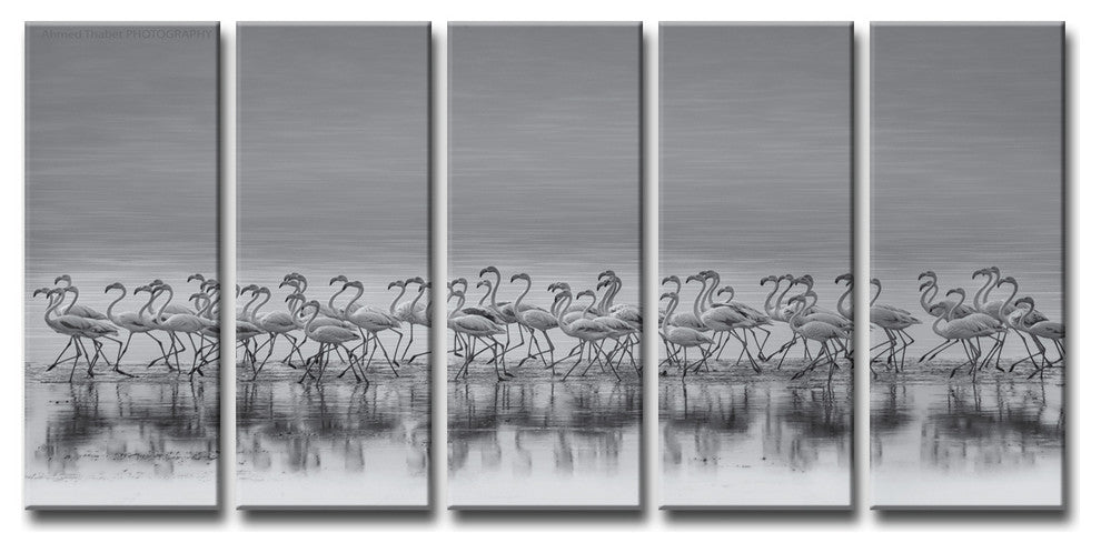 Ready2HangArt ''Comrades'' 5-Piece Canvas Wall Decor Set