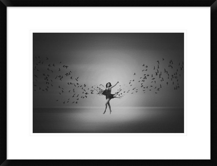 "Ballerina Flight Of Birds" Framed Digital Print by Mark Biwit, 26"x20"