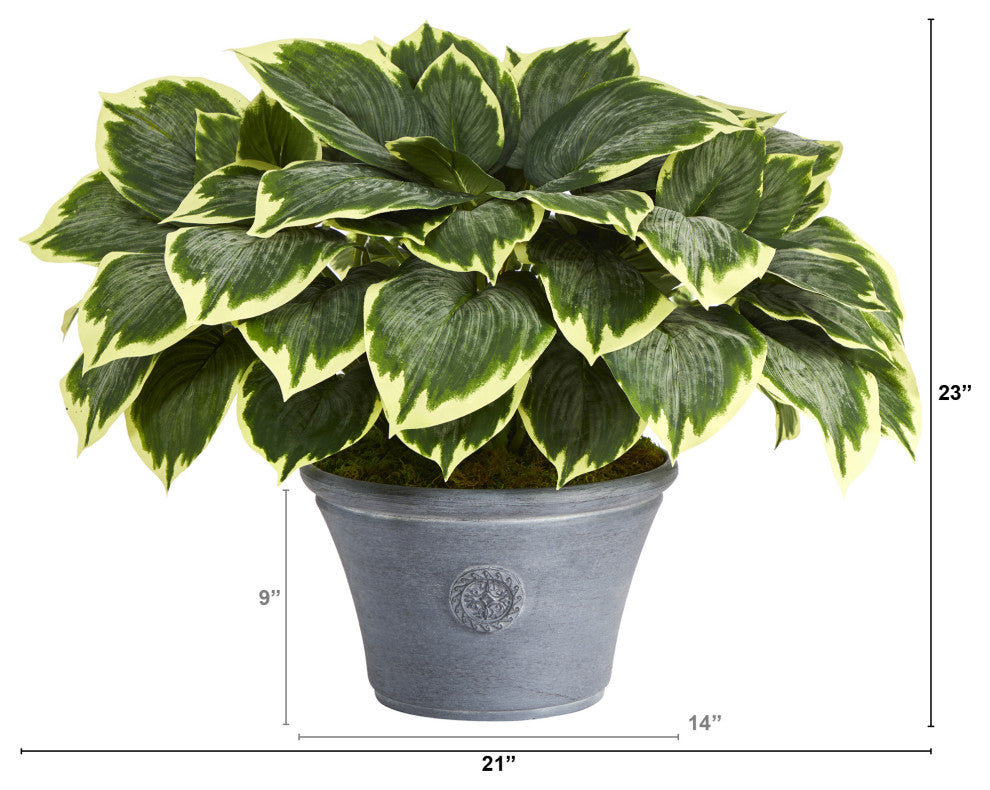 23" Variegated Hosta Artificial Plant, Gray Planter