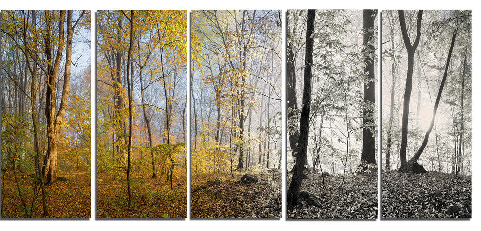 Yellow Morning in Forest Panorama, Landscape Canvas Art Print, 60"x28", 5 Panels