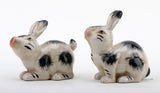 Pair Bunny-Black