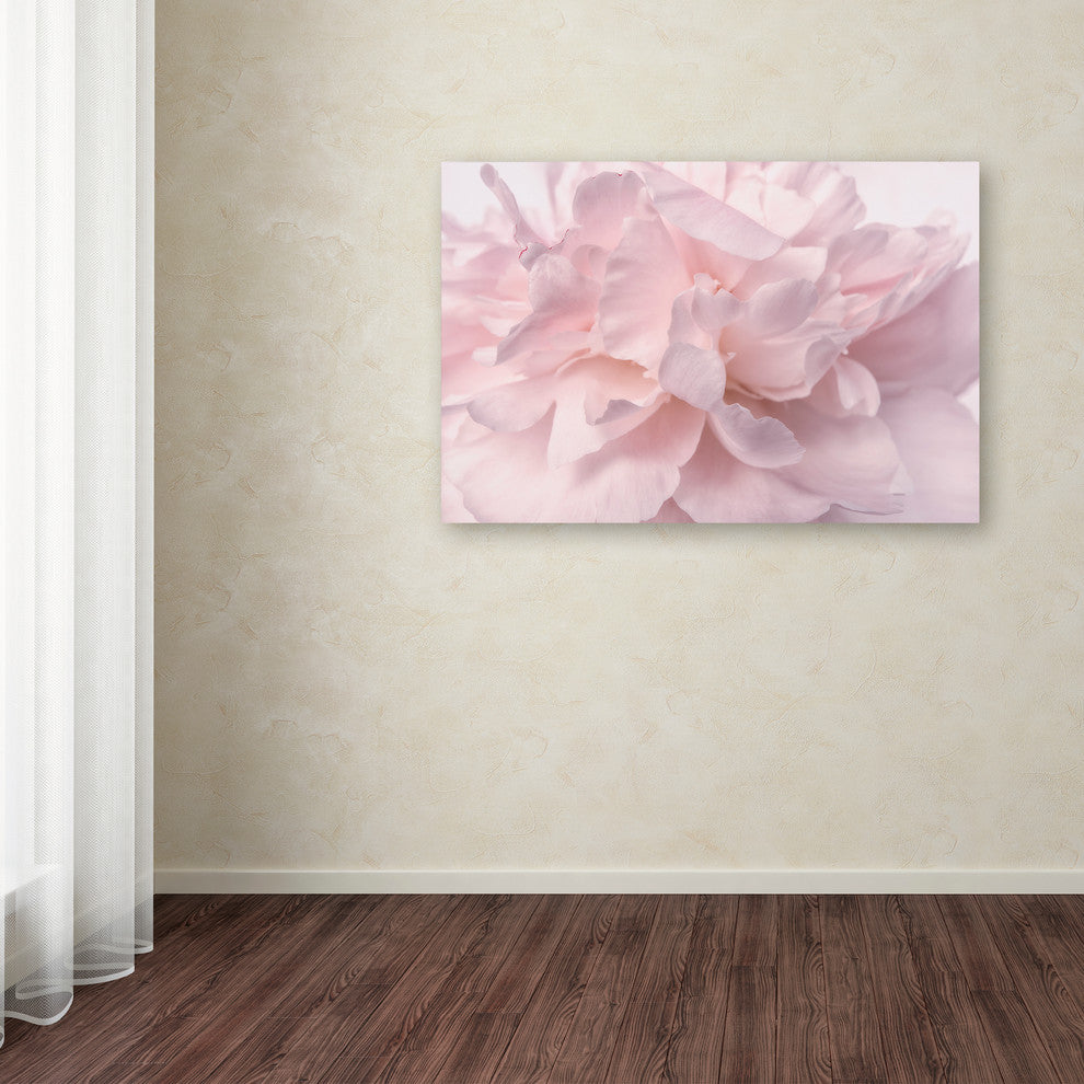 Cora Niele 'Pink Peony Petals II' Canvas Art