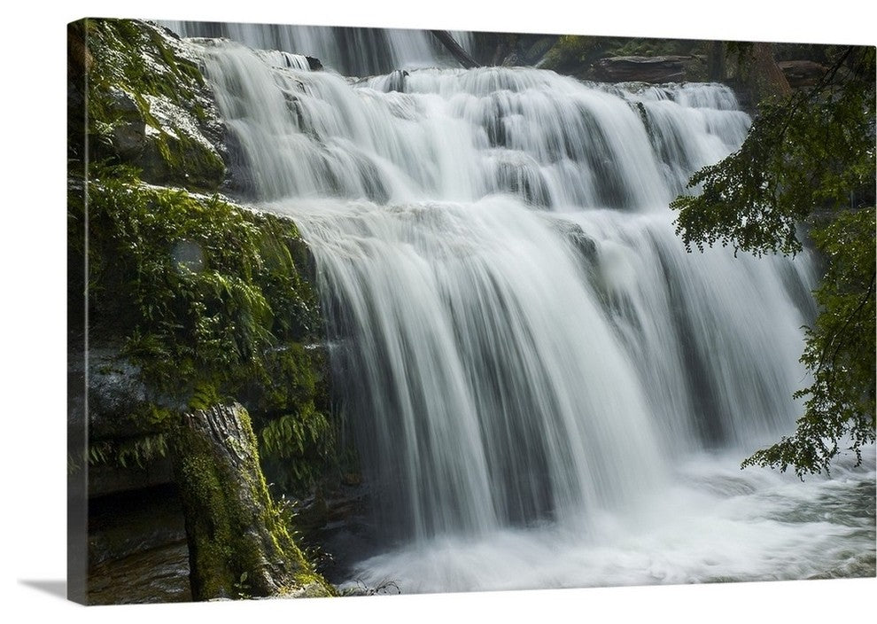 "Liffey Falls" Wrapped Canvas Art Print, 48"x32"x1.5"