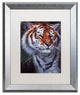 Jenny Newland 'Tiger In The Midst' Matted Framed Art, 20x16