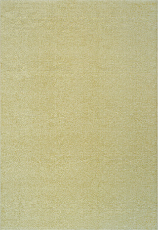 Dynamic Rugs Quin Polypropylene Area Rug, Sepia, 5'x8'