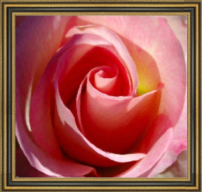 Our Original Collection Gorgeous Pink Rose Framed Premium Canvas Print, 20"x20"