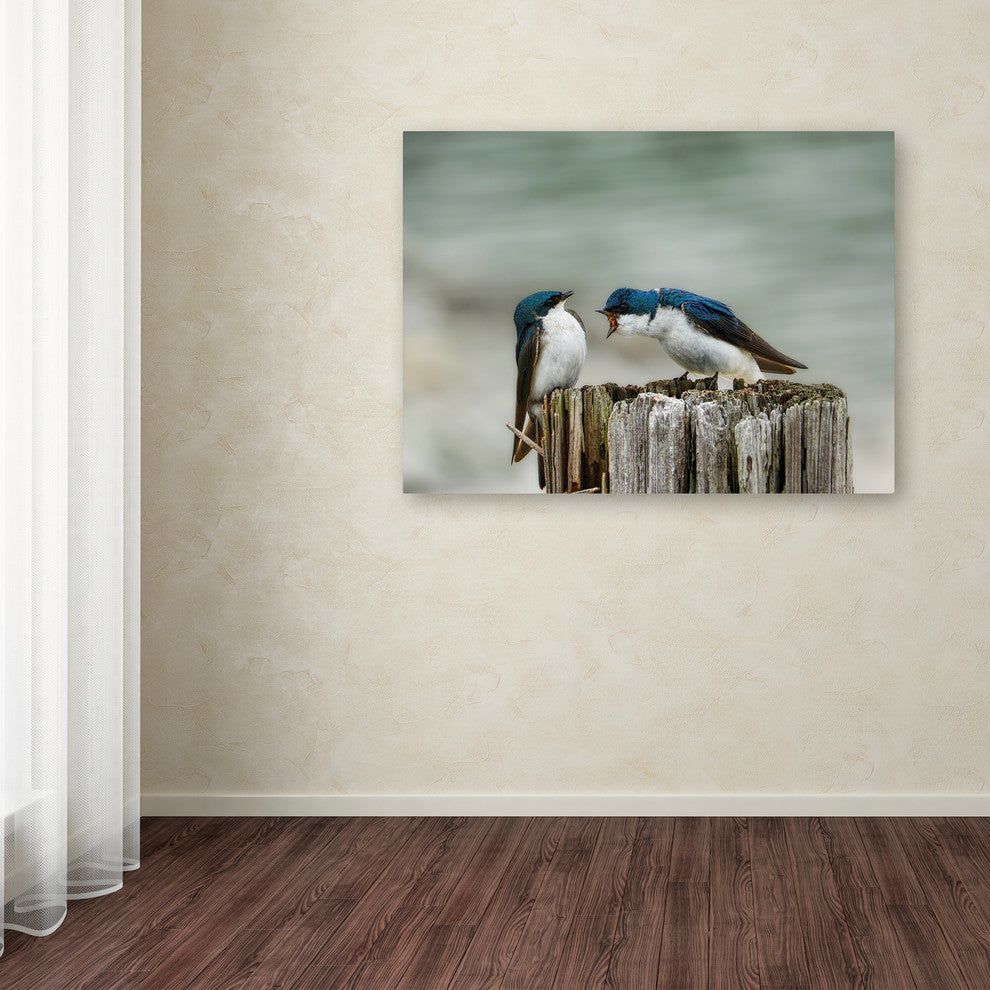 Jai Johnson 'Angry Swallows' Canvas Art, 47 x 35