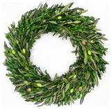 Preserved Decorative Real Boxwood Leaf and Olive Leaf Wreath 21" Green