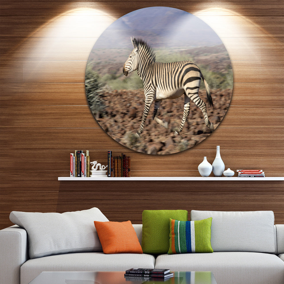 Zebra In Damaraland, Landscape Photography Disc Metal Wall Art, 23"