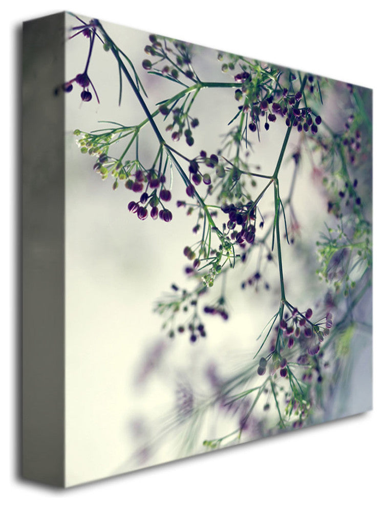 'Supercalifragilistic' Canvas Art by Beata Czyzowska Young