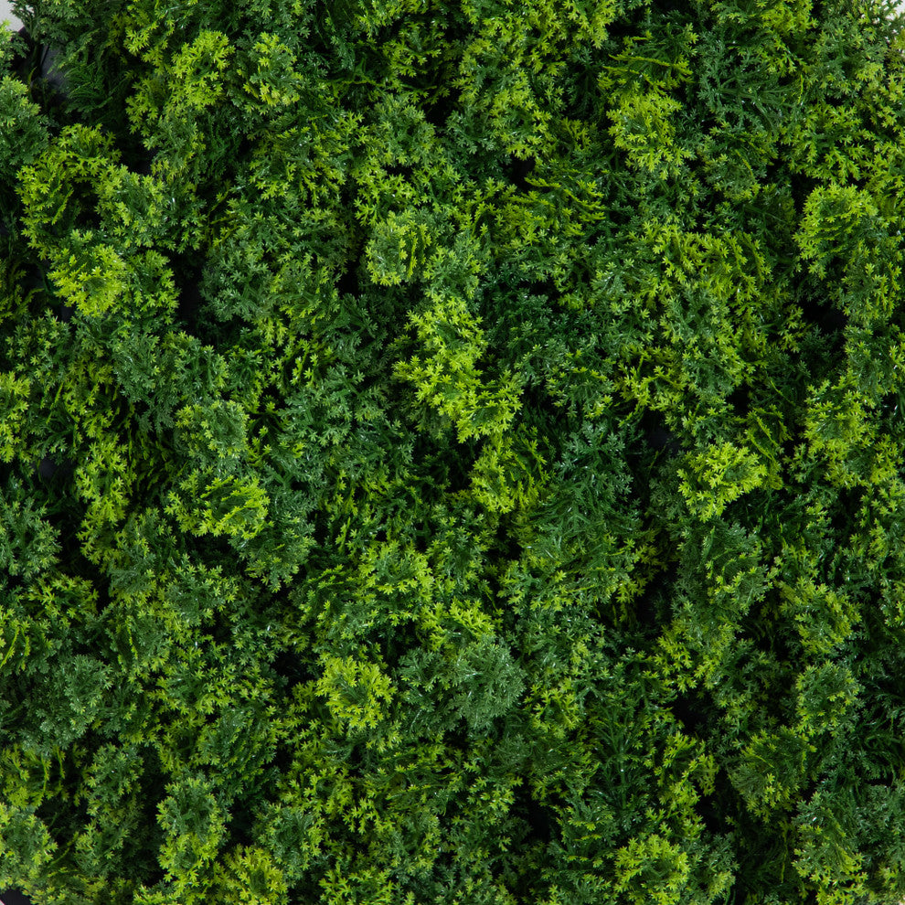 Alternate white background close-up: close-up texture of moss on white backdrop.