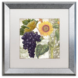 Color Bakery 'Dolcetto I' Matted Framed Art, Silver Frame, White Mat, 16x16