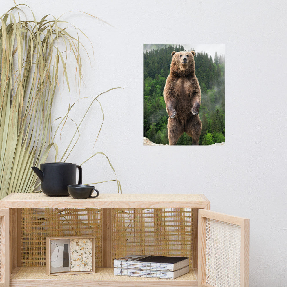 Big Standing Brown Bear On Mountain Top Loose Wall Art Print, 16" X 20"