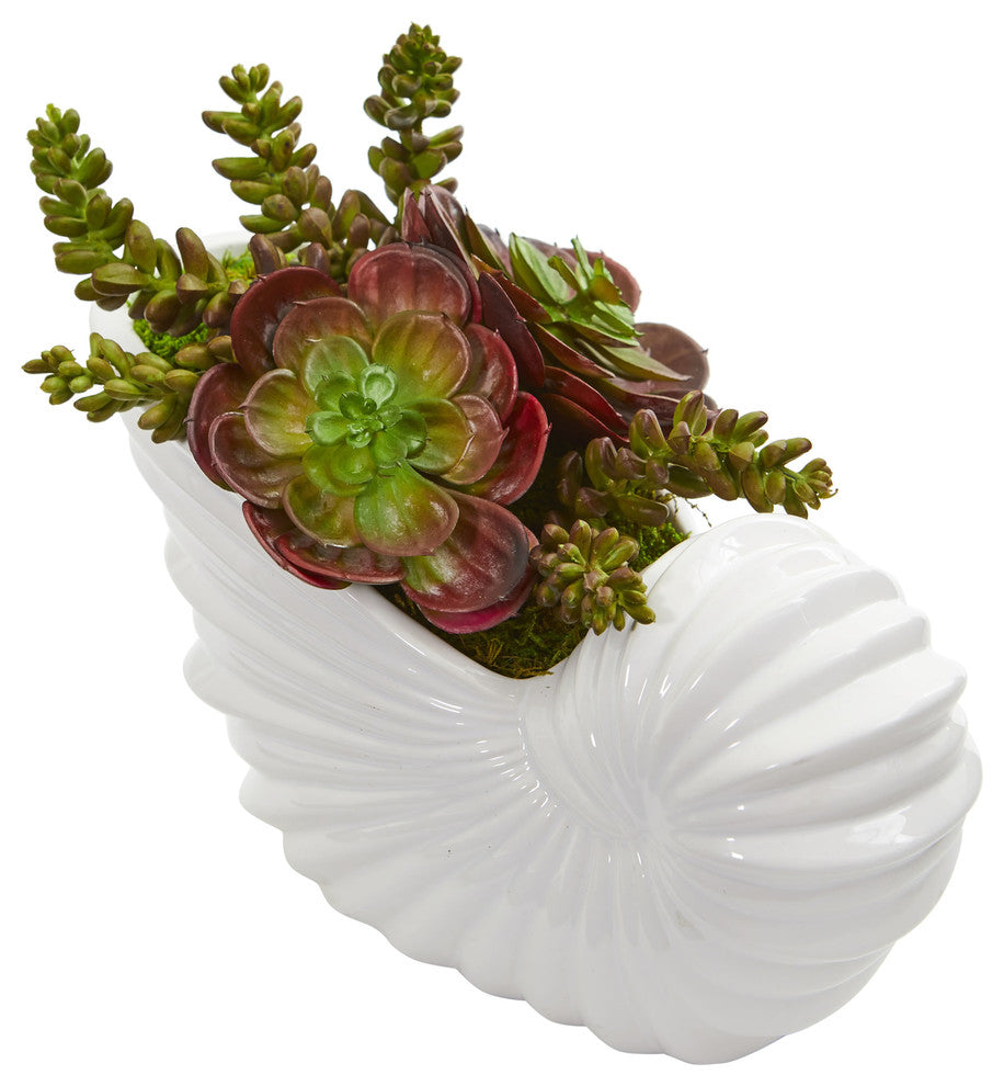 Nearly Natural Succulent Garden Artificial Plant in Shell Planter