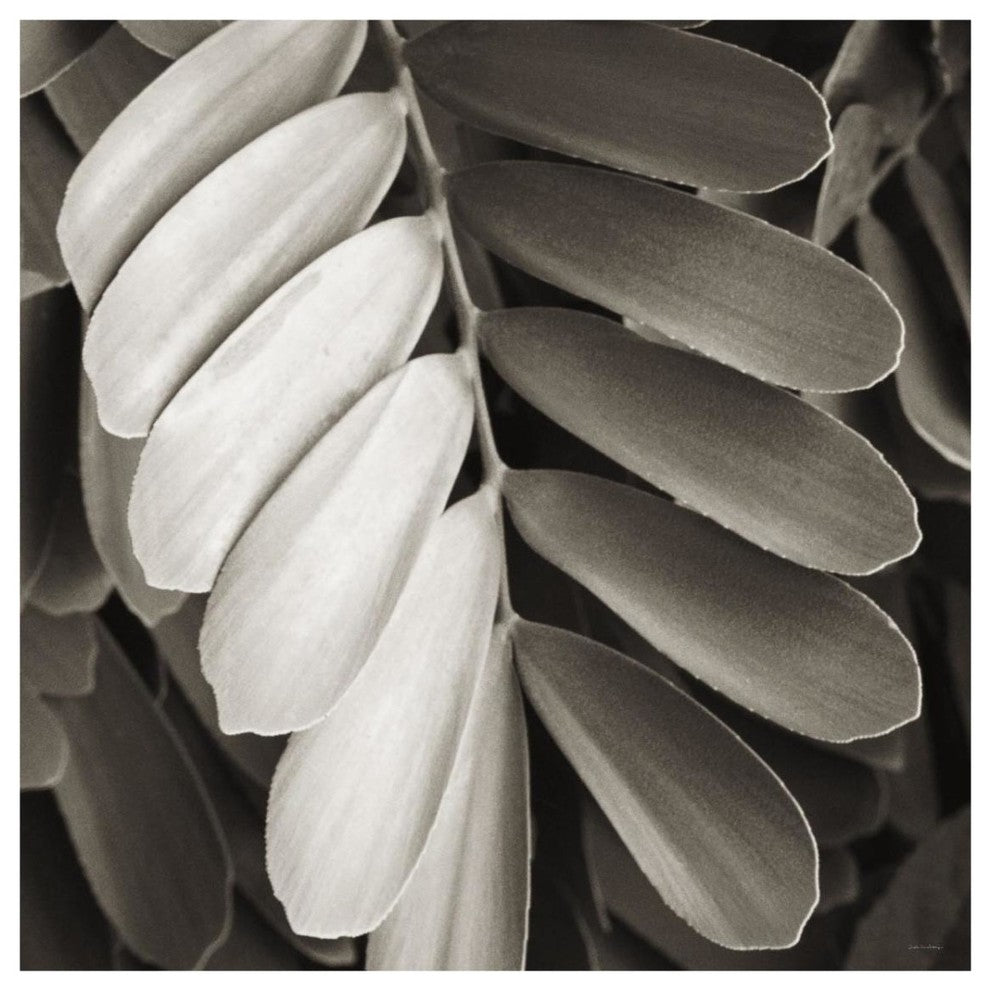 "Tropical Plant I" Digital Paper Print by Debra Van Swearingen, 32"x32"